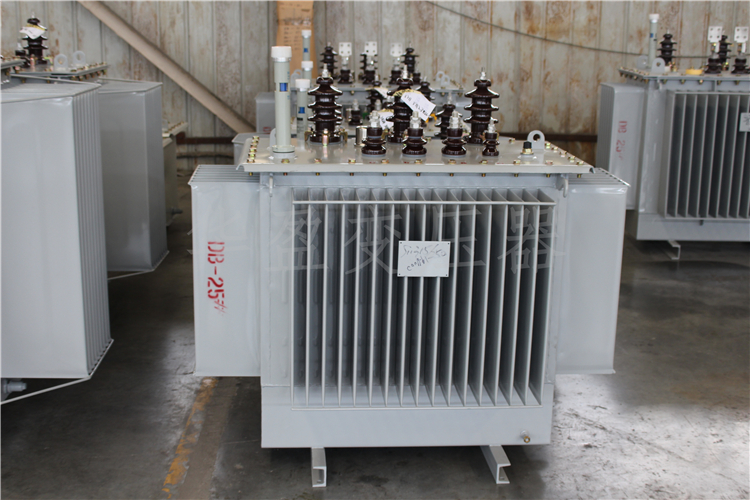 长沙S20-800kVA/10kV/0.4kV变压器